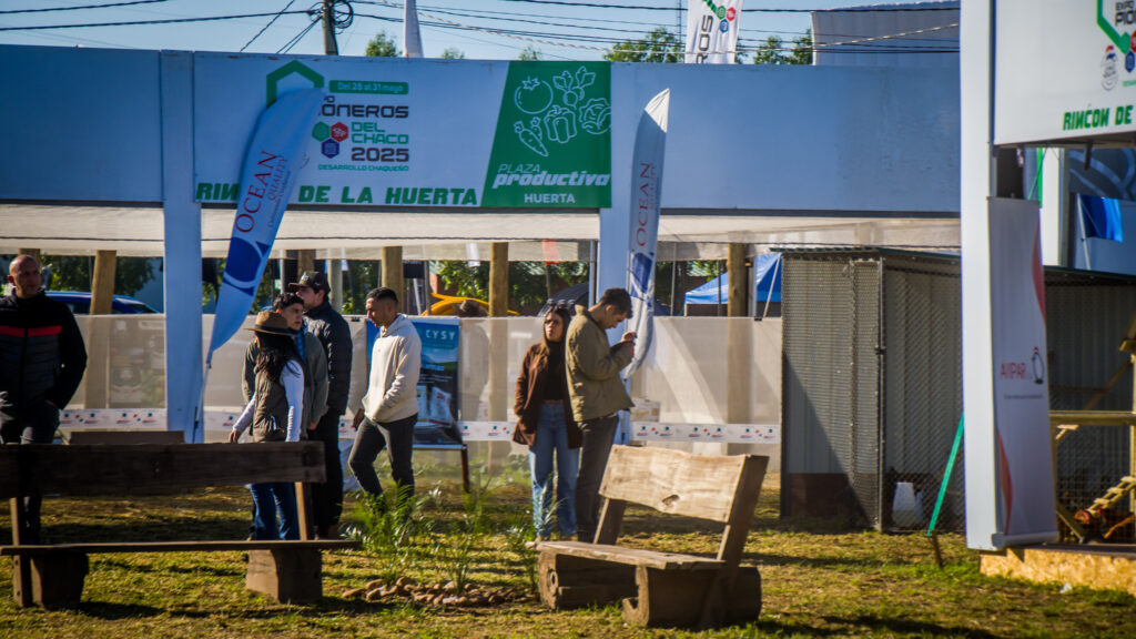 La Plaza de producciones alternativas se consolida como un espacio ...